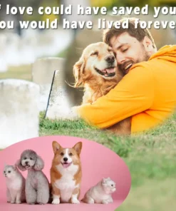 Custom Engraved Slate Pet Memorial Stone with Photo Frame Personalized Dog, Cat, Parrot & Rabbit Grave Marker Vintage Style Desk Decor for Anniversaries Christmas Pet Memorial Gift Vintage Pet Decor Photo Display Stone Memorial Keepsakes